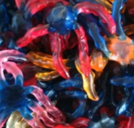 Araignée Ursula (100g)