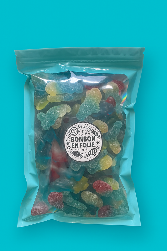 Le village des schtroumpfs (600g)