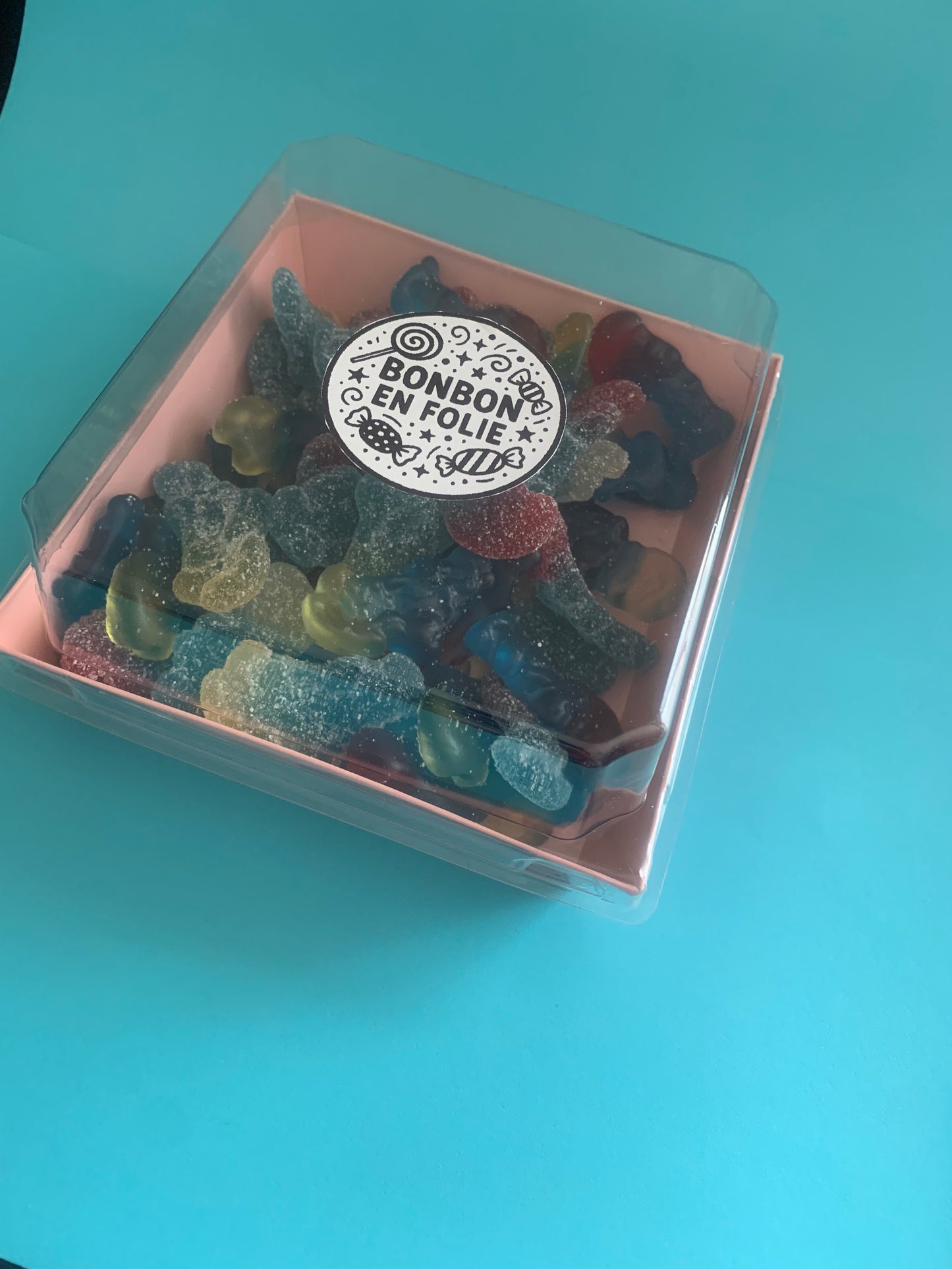 Le village des schtroumpfs ( 300g)